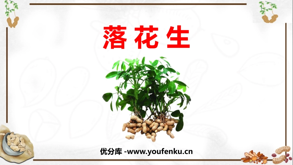 《落花生》PPT免费课件[部编版五年级语文上册]_第1页