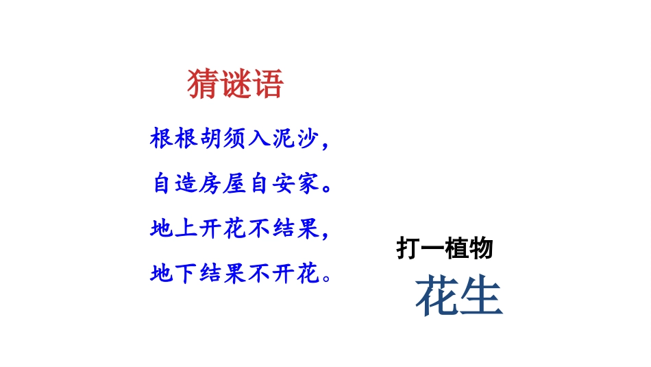 《落花生》PPT免费课件[部编版五年级语文上册]_第2页