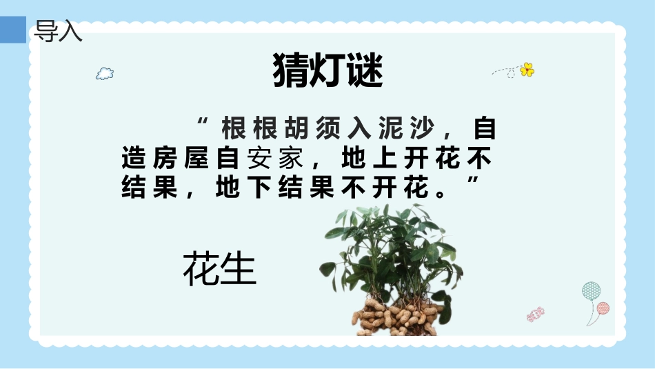 《落花生》PPT精品教学课件[部编版五年级语文上册]_第3页