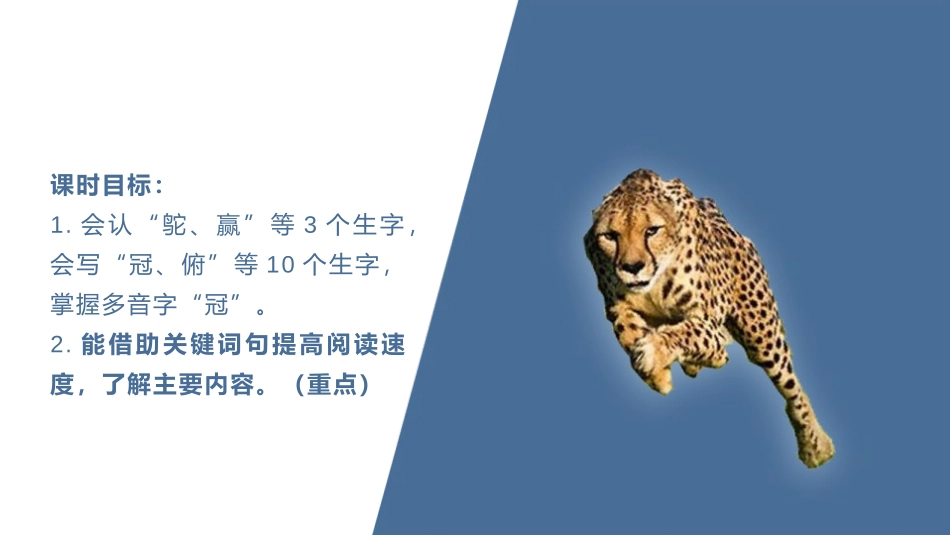 《什么比猎豹的速度更快》PPT教学课件(第1课时)_第3页
