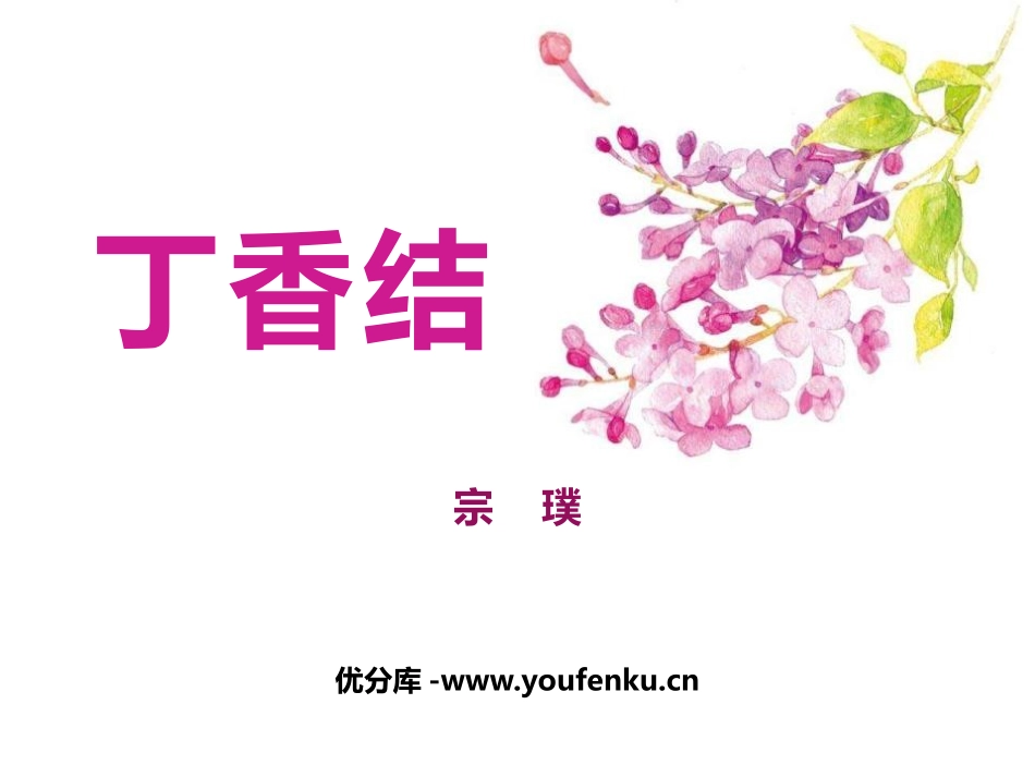《丁香结》PPT课文课件[部编版六年级语文上册]_第1页