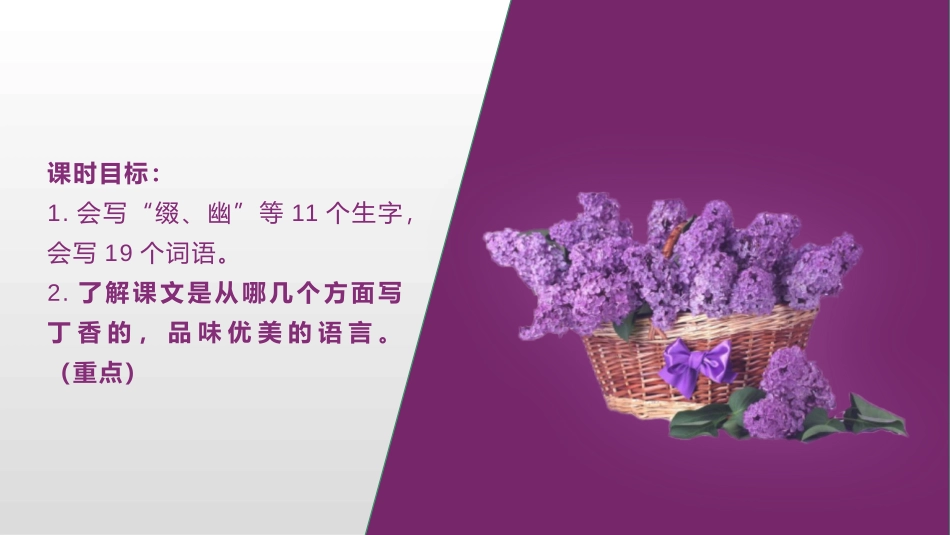 《丁香结》PPT教学课件(第1课时)[部编版六年级语文上册]_第2页