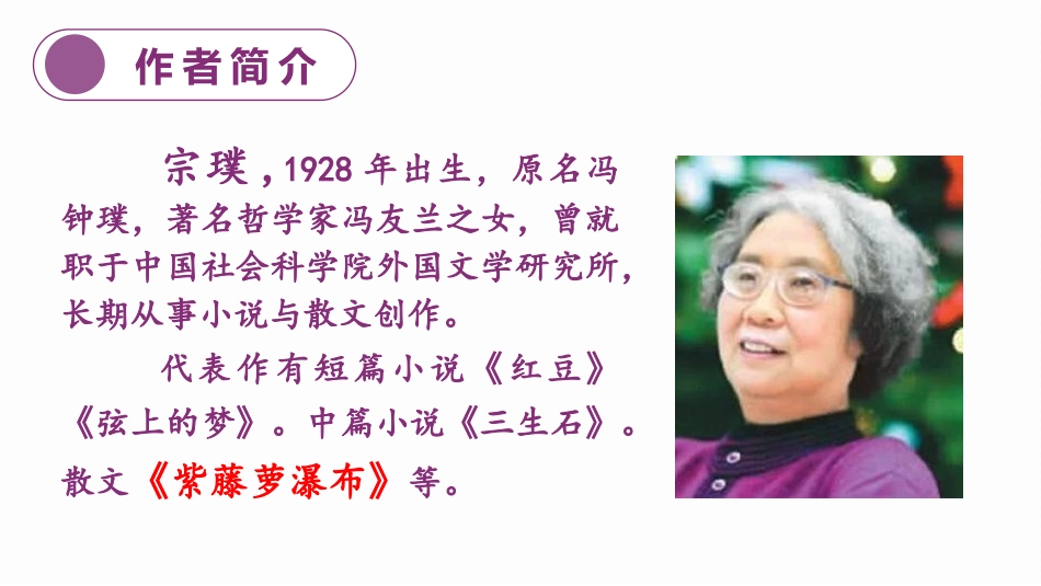 《丁香结》PPT教学课件(第1课时)[部编版六年级语文上册]_第3页