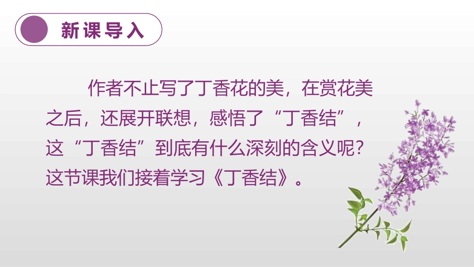 《丁香结》PPT教学课件(第2课时)[部编版六年级语文上册]_第3页