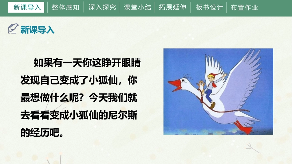 《骑鹅旅行记》PPT精品课件[部编版六年级语文下册]_第3页