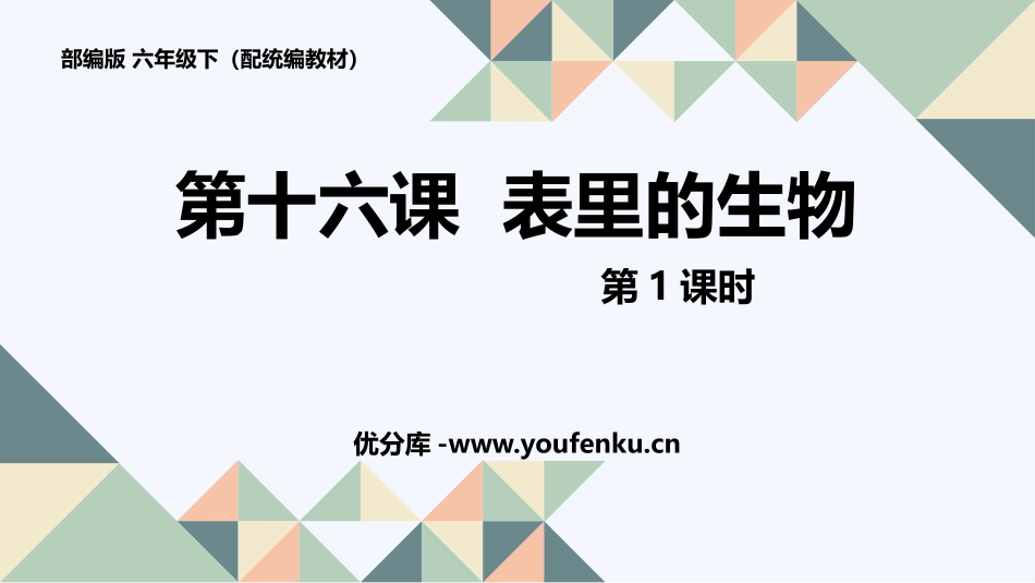 《表里的生物》PPT(第1课时)PPT课件[部编版六年级语文]_第1页