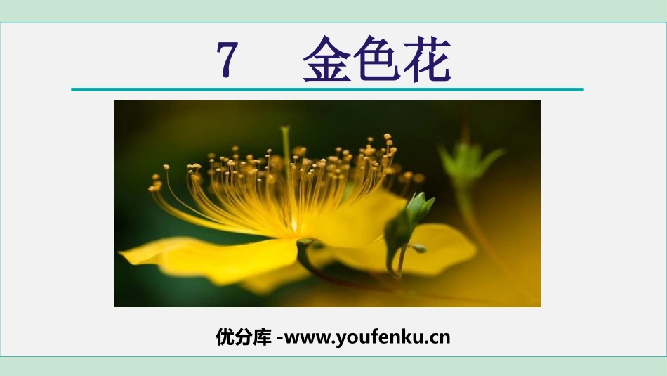 《金色花》PPT课文课件[部编版七年级语文上册]_第1页