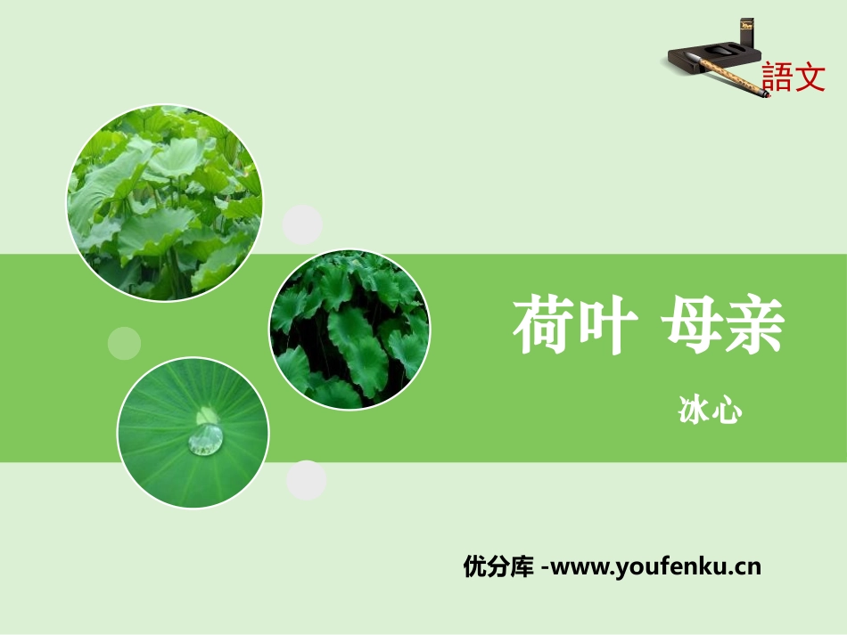 《荷叶·母亲》PPT课文课件[部编版七年级语文上册]_第1页