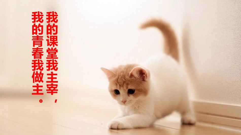 《猫》PPT课件(第1课时)[部编版七年级语文上册]_第2页