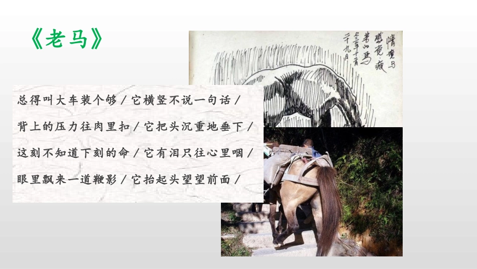 《说和做-记闻一多先生言行片段》PPT精品课件[部编版七年级语文]_第2页