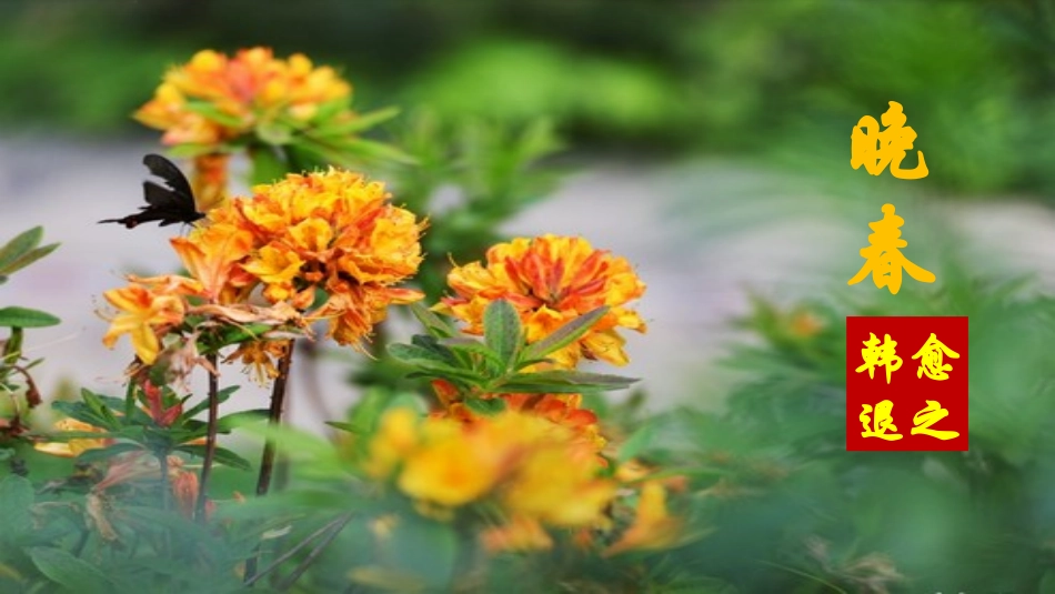 《晚春》PPT优质课件[部编版七年级语文下册]_第2页