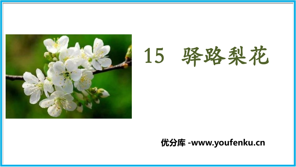 《驿路梨花》PPT课文课件[部编版七年级语文下册]_第1页
