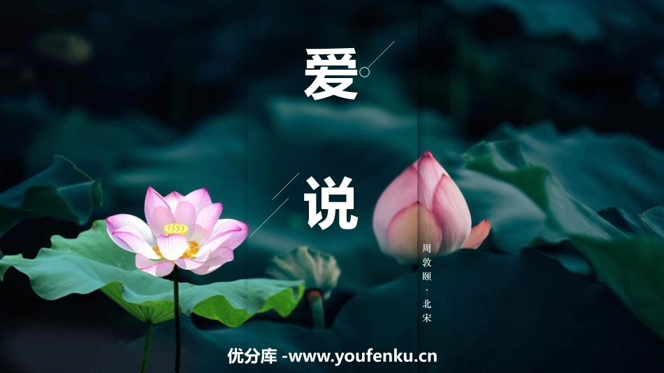《爱莲说》PPT精品课件[部编版七年级语文下册]_第1页