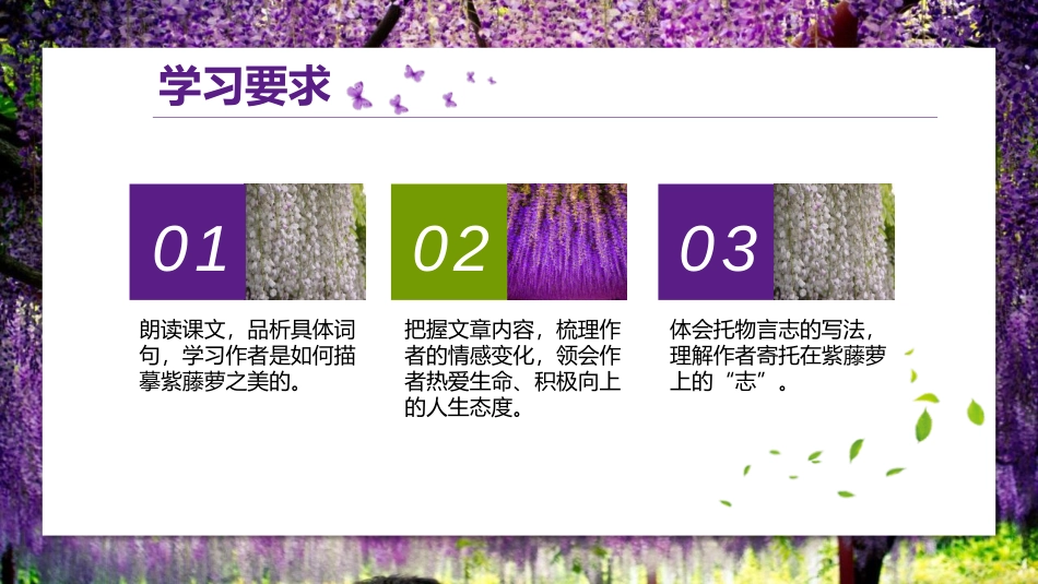 《紫藤萝瀑布》PPT优质课件[部编版七年级语文下册]_第2页