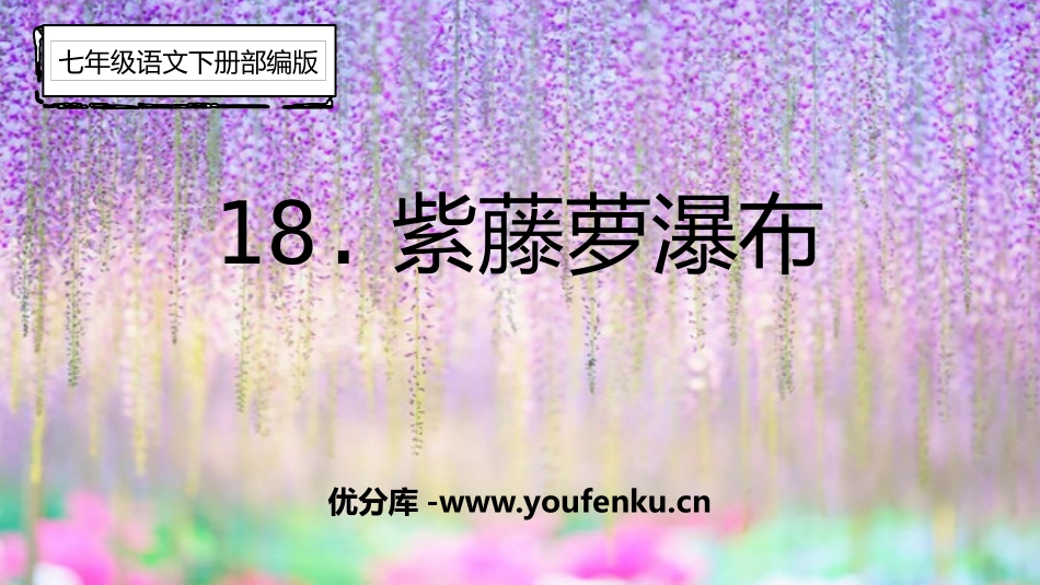 《紫藤萝瀑布》PPT优秀课件[部编版七年级语文下册]_第1页
