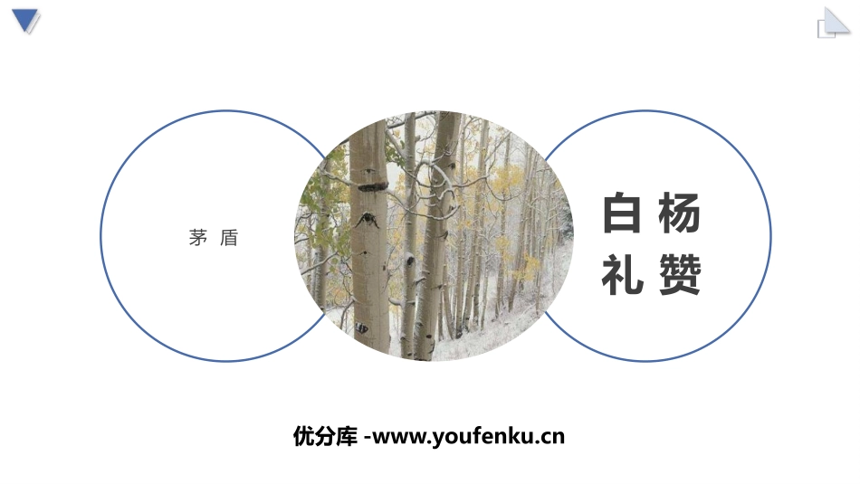 《白杨礼赞》PPT精品教学课件[部编版八年级语文上册]_第1页
