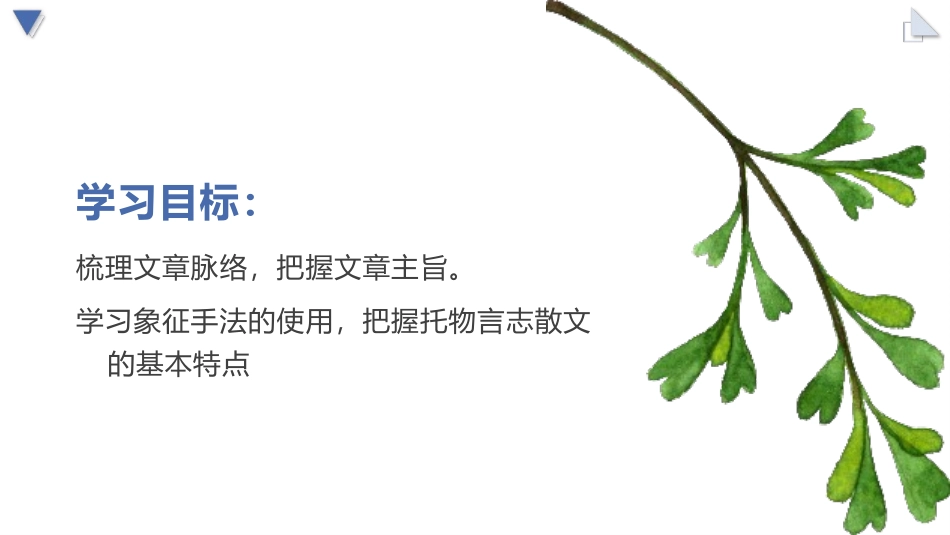 《白杨礼赞》PPT精品教学课件[部编版八年级语文上册]_第2页
