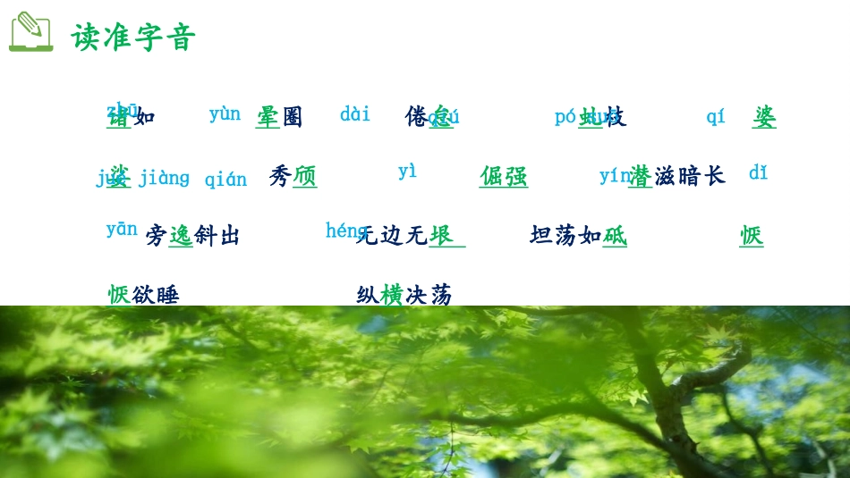 《白杨礼赞》PPT优秀教学课件[部编版八年级语文上册]_第2页