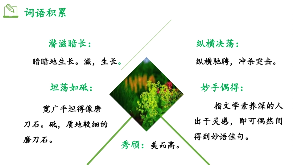 《白杨礼赞》PPT优秀教学课件[部编版八年级语文上册]_第3页