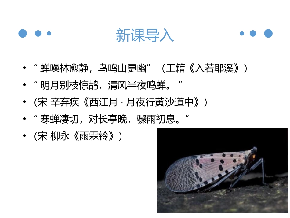 《蝉》PPT课文课件[部编版八年级语文上册]_第1页