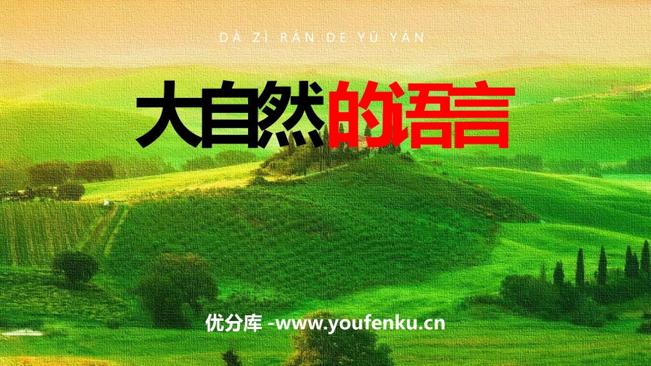 《大自然的语言》PPT精品课件[部编版八年级语文下册]_第1页