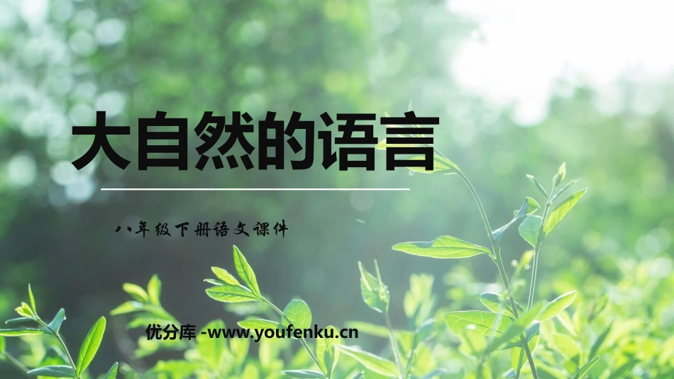 《大自然的语言》PPT优质课件[部编版八年级语文下册]_第1页