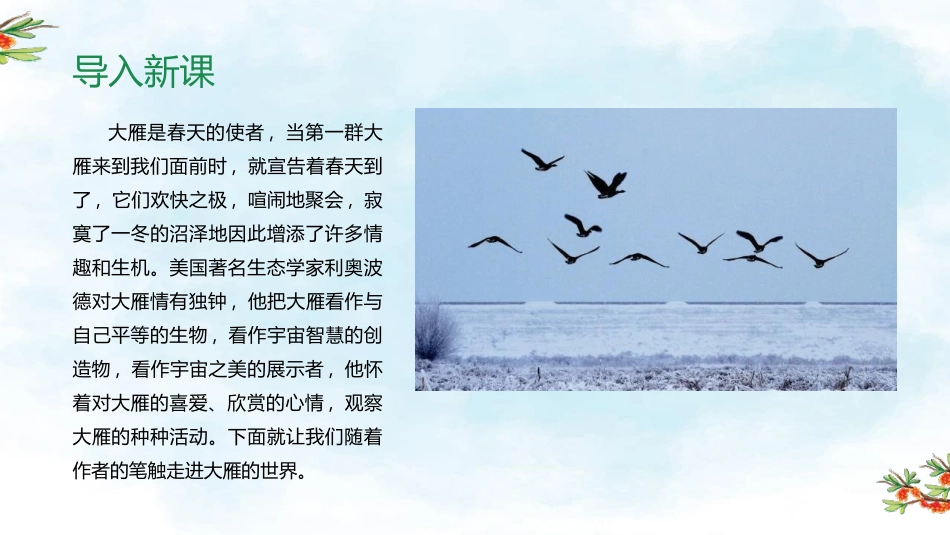 《大雁归来》PPT优秀课件[部编版八年级语文下册]_第2页