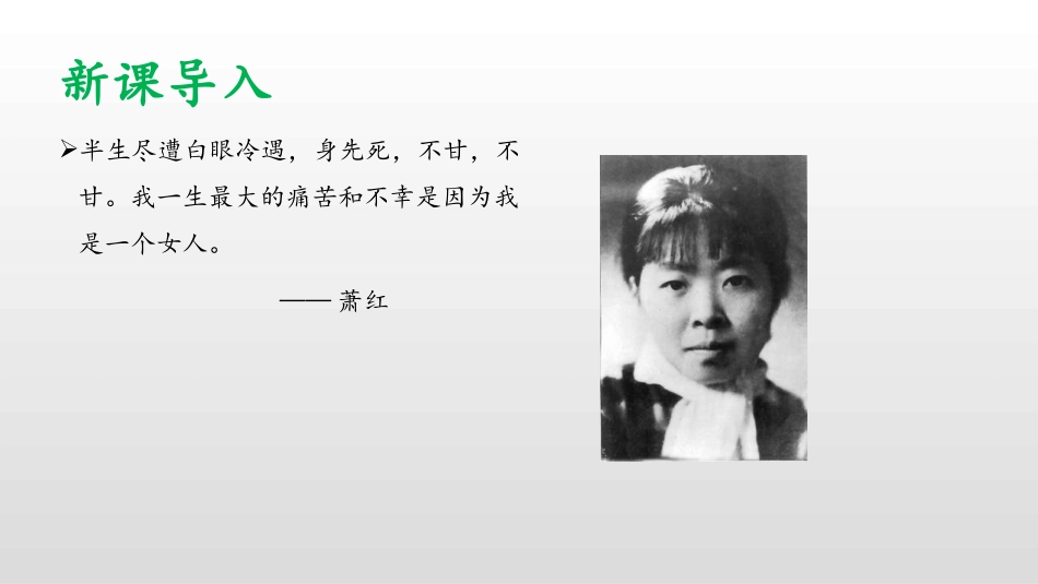 《萧红墓畔口占》PPT课件[部编版九年级语文下册]_第3页