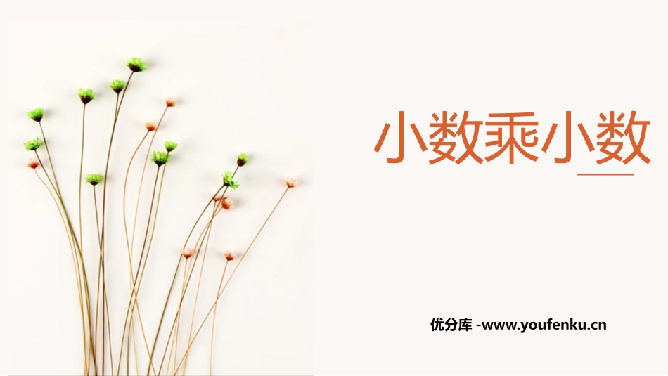 《小数乘小数》小数乘法PPT教学课件[人教版五年级数学上册]_第1页