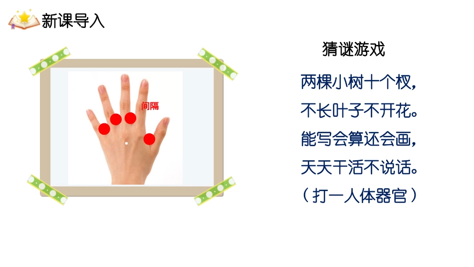 《植树问题》数学广角PPT课件[人教版五年级数学上册]_第3页