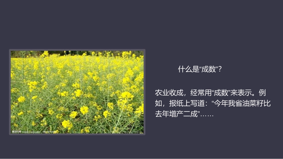 《成数》百分数PPT免费课件[人教版六年级数学下册]_第3页