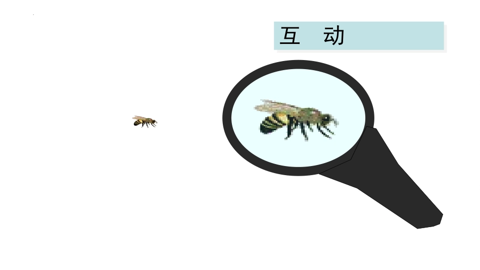 《图形的放大与缩小》比例PPT教学课件[人教版六年级数学]_第3页