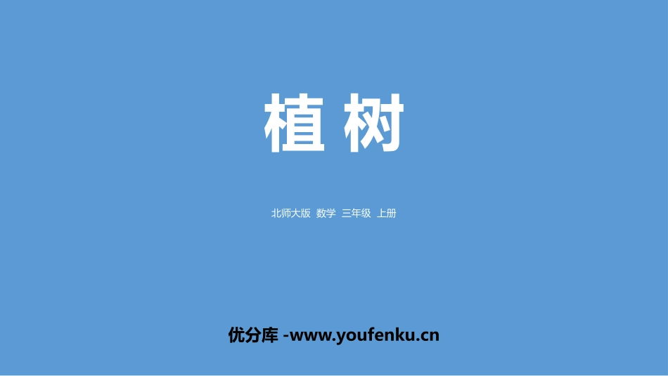 《植树》乘与除PPT课件[北师大版三年级数学上册]_第1页
