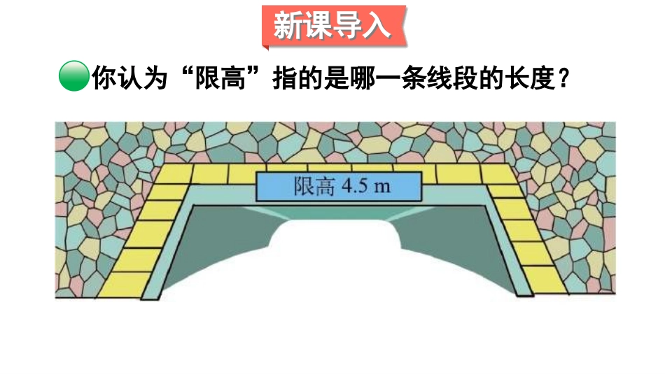 《认识底和高》多边形的面积PPT课件[北师大版五年级数学]_第2页