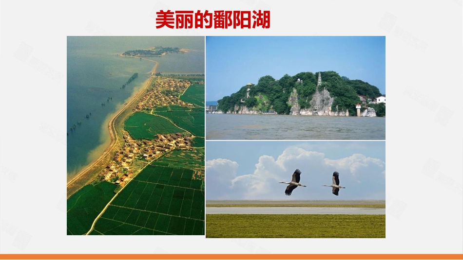 《数据的收集》数据的收集与整理PPT课件[北师大版七年级数学]_第3页