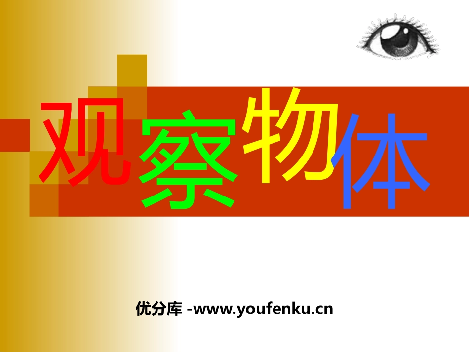《观察物体》PPT免费优质课件[西师大版二年级数学上册]_第1页