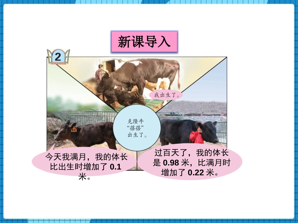 《奇异的克隆牛》PPT免费课件(第2课时)[青岛版四年级数学]_第2页