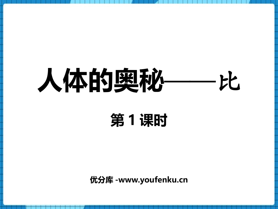《人体的奥秘》PPT课件(第1课时)[青岛版六年级数学上册]_第1页