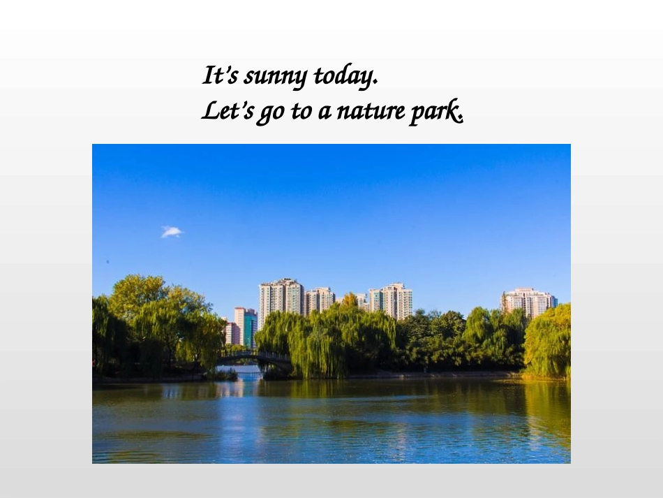 《In a nature park》PartA PPT课件_第2页