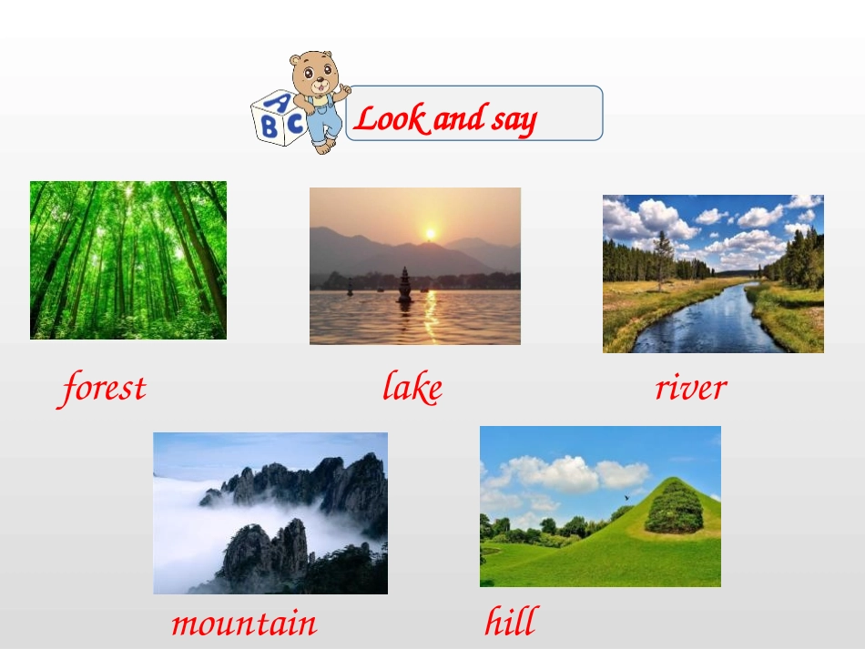《In a nature park》PartB PPT课件_第2页