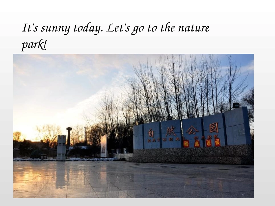 《In a nature park》PartB PPT课件_第3页