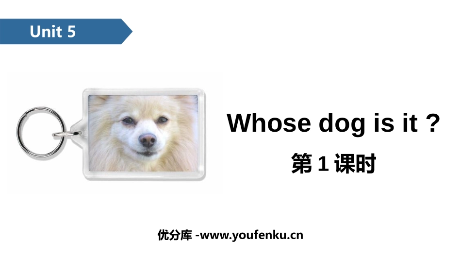《Whose dog is it?》PartA PPT课件_第1页