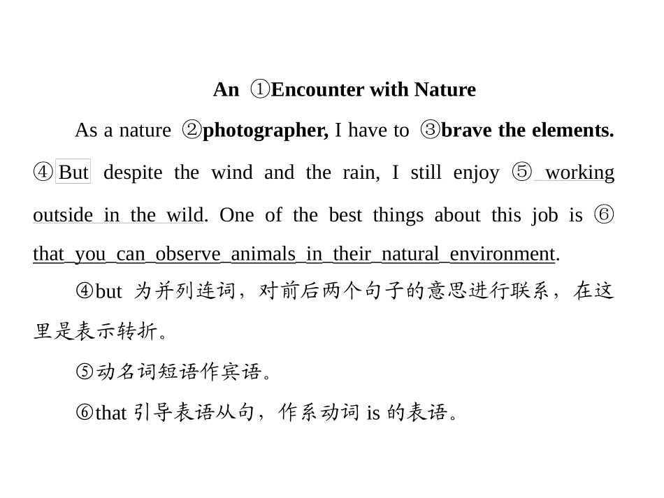 《Into the wild》SectionC PPT课件_第3页