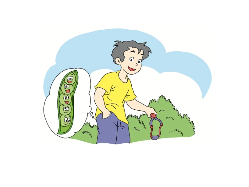 《The five peas》PPT课件[上海教育版六年级英语]_第3页