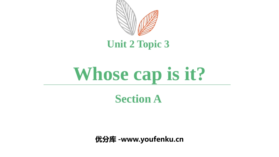 《Whose cap is this?》SectionA PPT课件_第1页