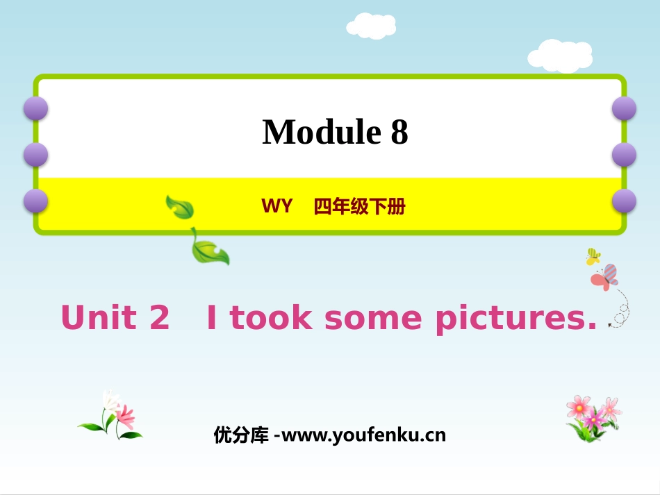 《I took some pictures》PPT免费课件_第1页
