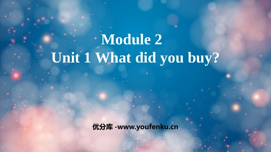 《What did you buy?》PPT优质课件_第1页
