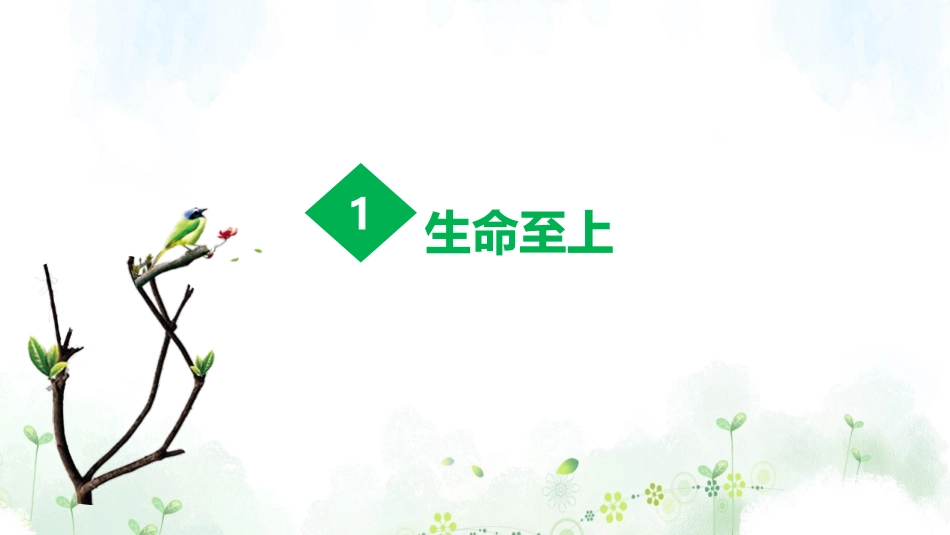 《敬畏生命》PPT免费课件[七年级道德与法治上册]_第3页