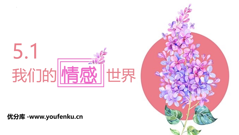 《我们的情感世界》PPT优质教学课件[七年级道德与法治下册]_第1页