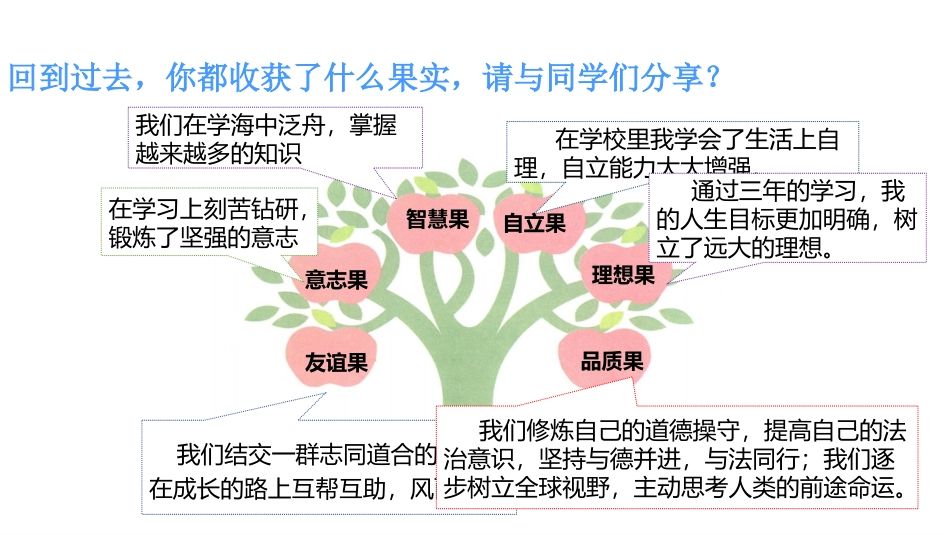 《回望成长》PPT免费课件[九年级道德与法治下册]_第3页